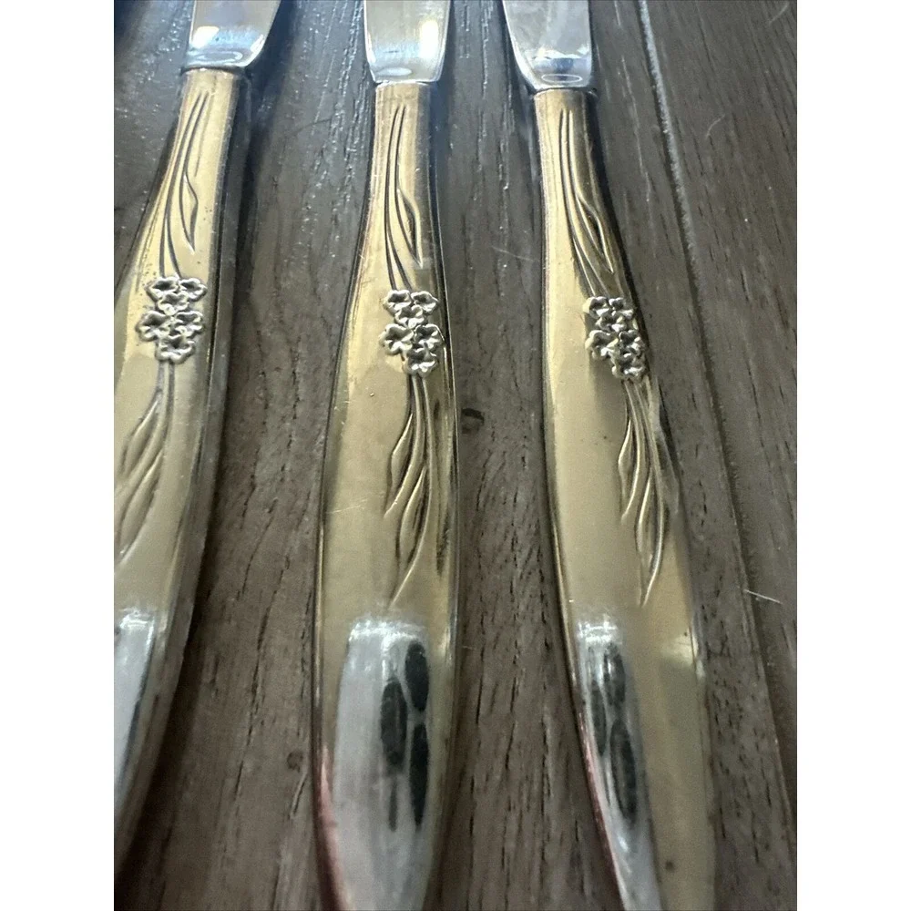 6 PCs Oneida Community ENCHANTMENT Gentle‎ Rose Dinner Knives 9-1/8